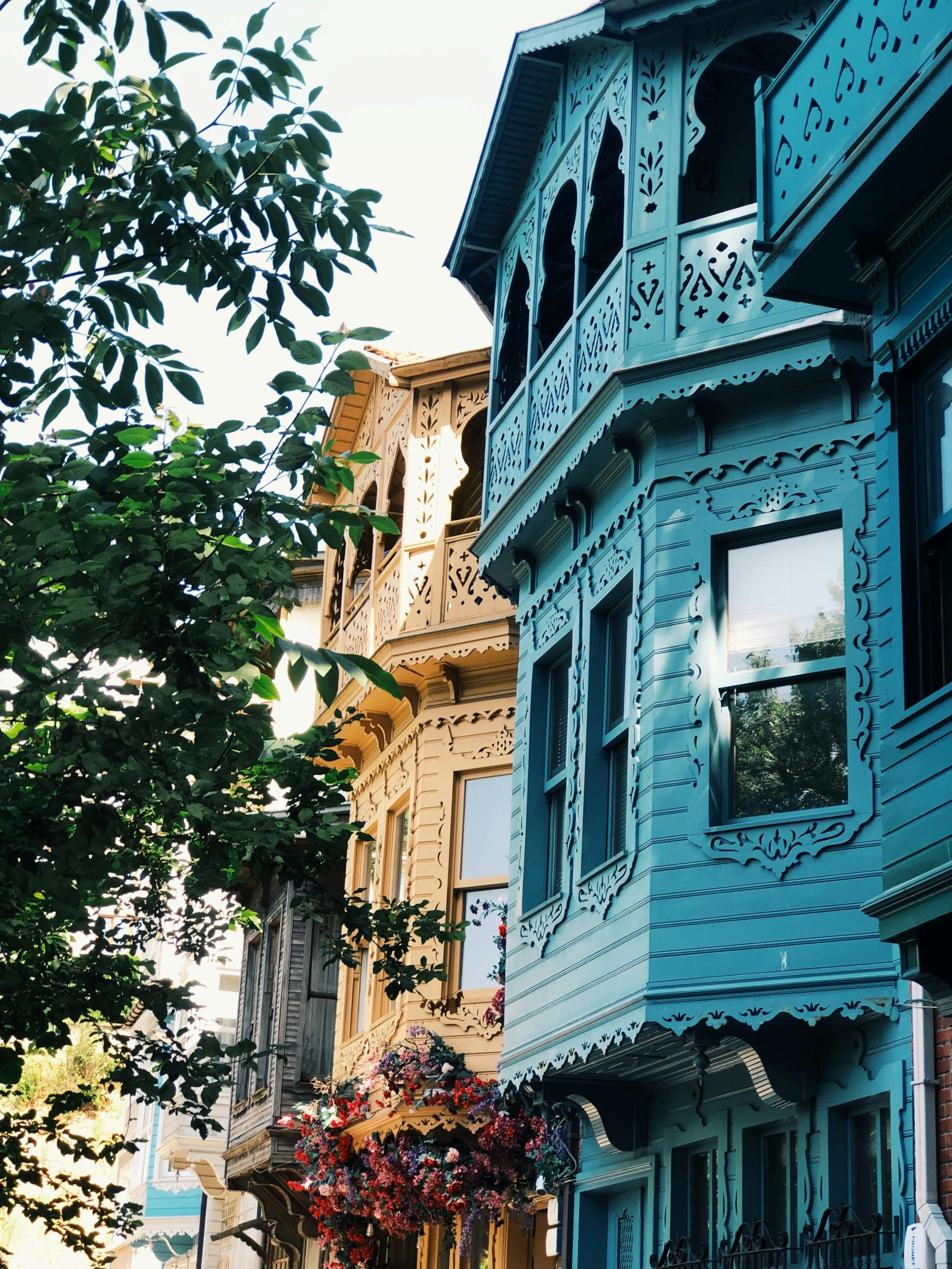 pexels bitugbaa 12576807